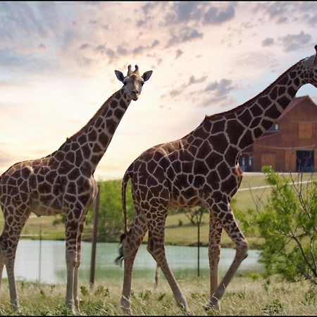 Отель Blue Hills Ranch McGregor Экстерьер фото