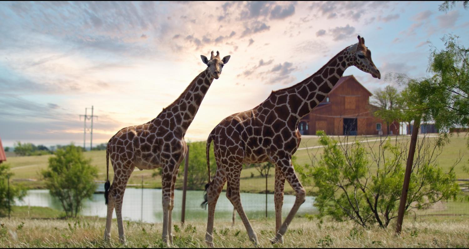 Отель Blue Hills Ranch McGregor Экстерьер фото