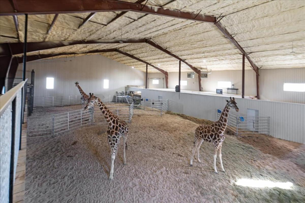 Отель Blue Hills Ranch McGregor Экстерьер фото