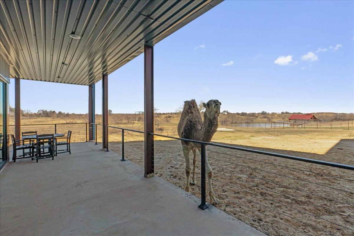 Отель Blue Hills Ranch McGregor Экстерьер фото