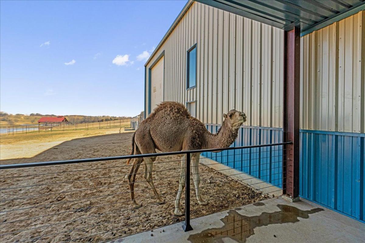 Отель Blue Hills Ranch McGregor Экстерьер фото